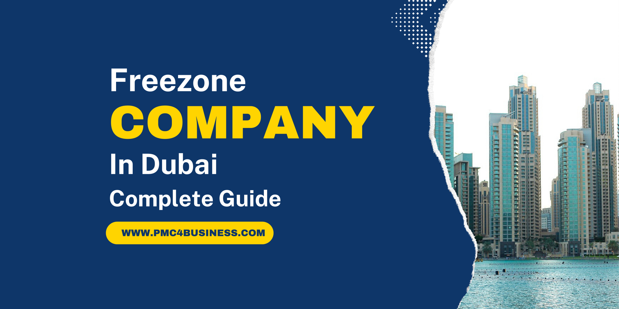 Freezone Freezone Company in Dubai, UAE Complete Guide - Professional Management ...